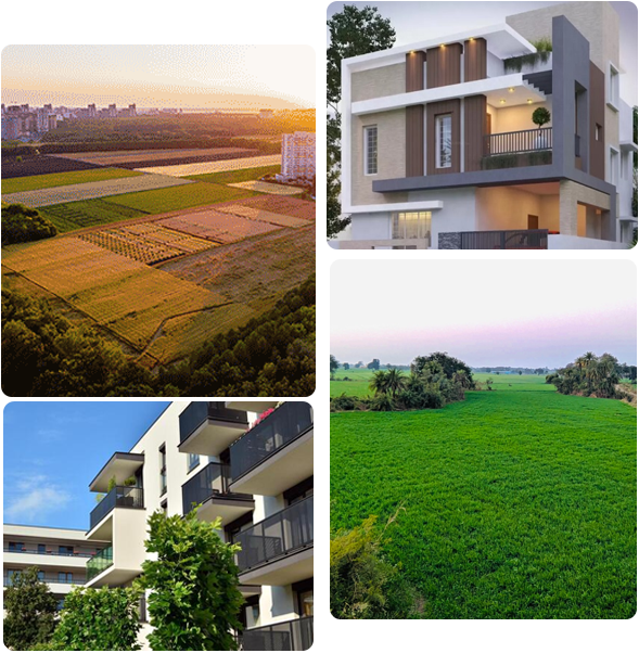 Real Asset Property