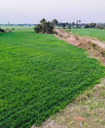 Agriculture