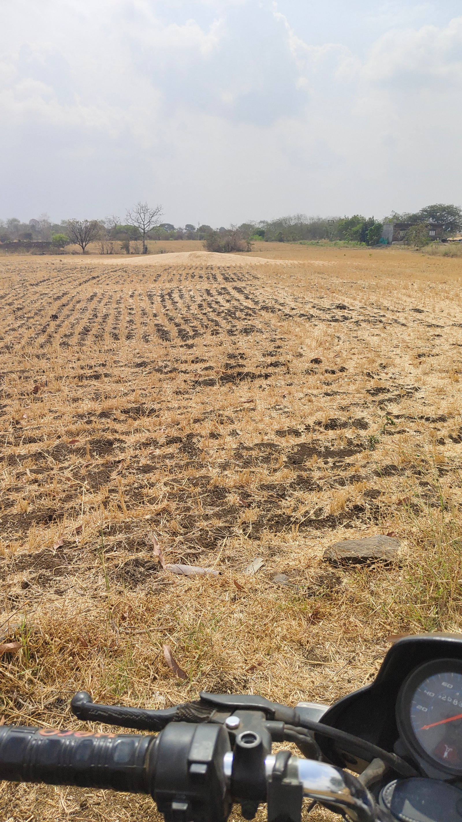 4 acre agriculture/commercial land for sale in bilkishganj near mansarovar university