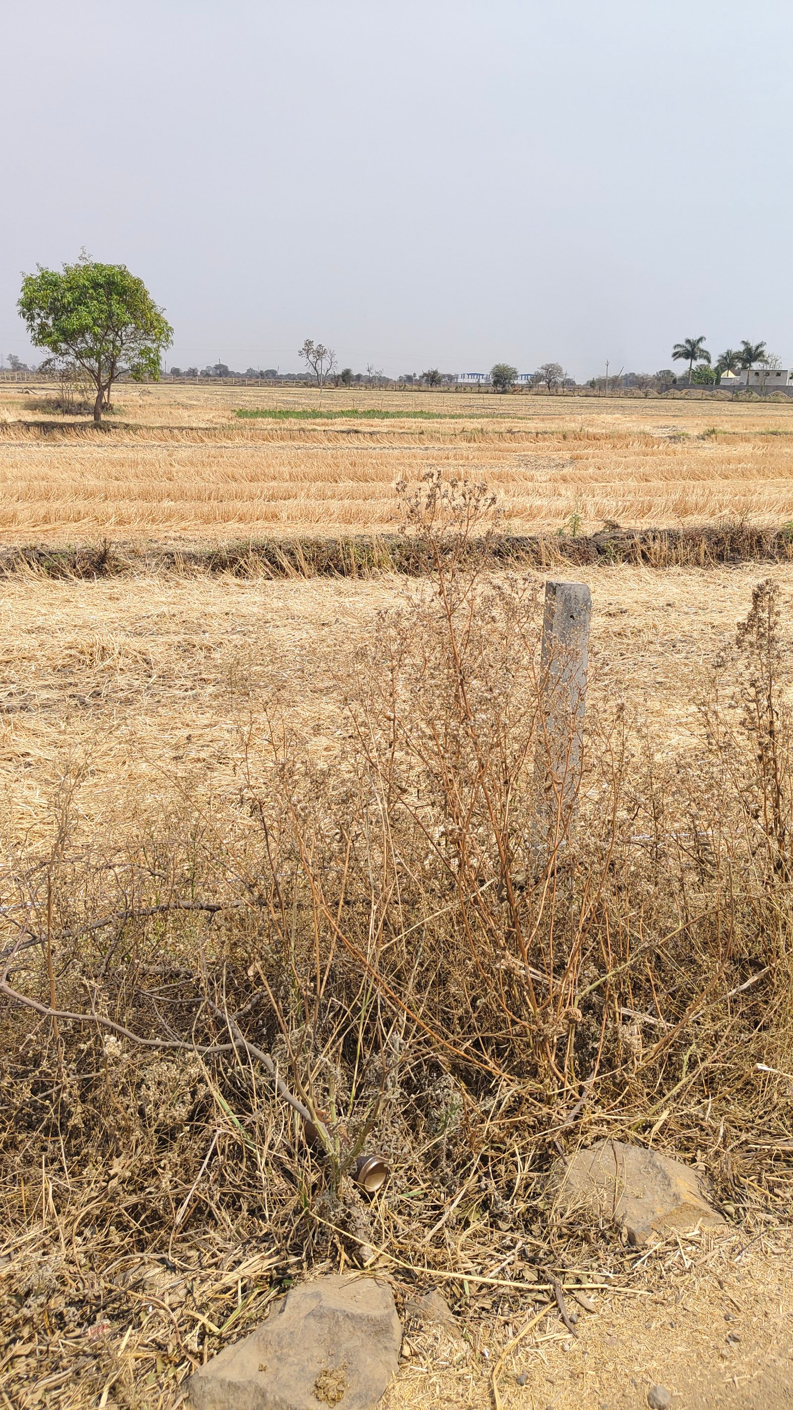 2 acre industrial land for sale in mandideep